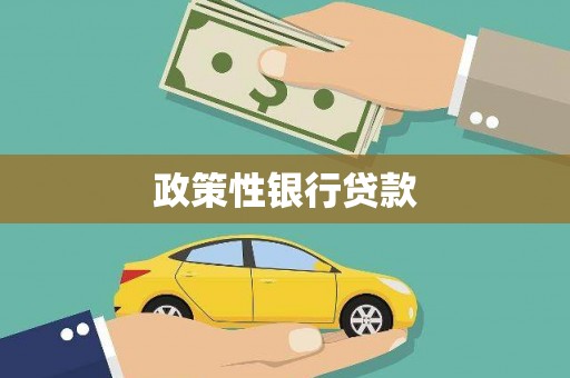 迭部政策性银行贷款