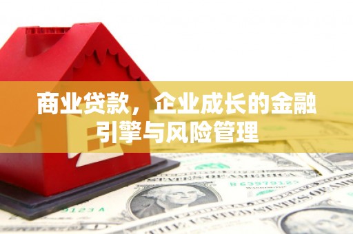 迭部商业贷款，企业成长的金融引擎与风险管理