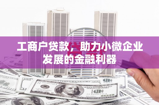 迭部工商户贷款，助力小微企业发展的金融利器