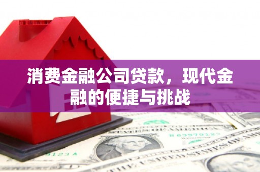迭部消费金融公司贷款，现代金融的便捷与挑战