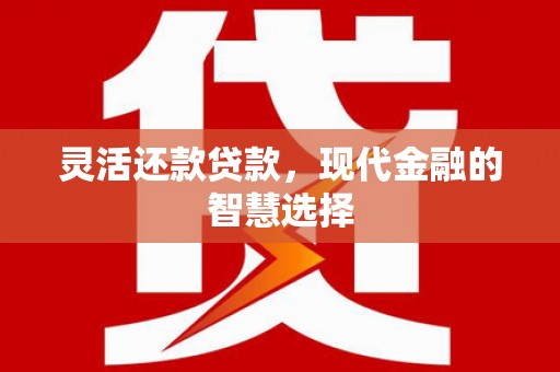 迭部灵活还款贷款，现代金融的智慧选择