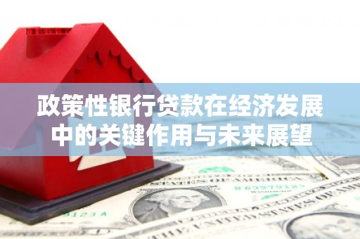 迭部政策性银行贷款在经济发展中的关键作用与未来展望
