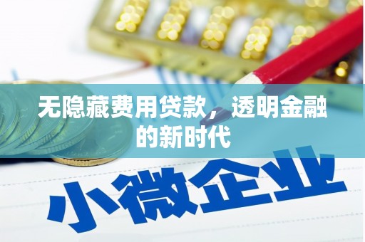 迭部无隐藏费用贷款，透明金融的新时代