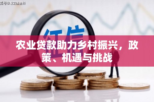 迭部农业贷款助力乡村振兴，政策、机遇与挑战