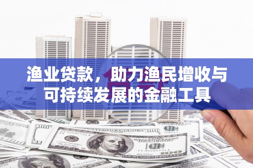 迭部渔业贷款，助力渔民增收与可持续发展的金融工具