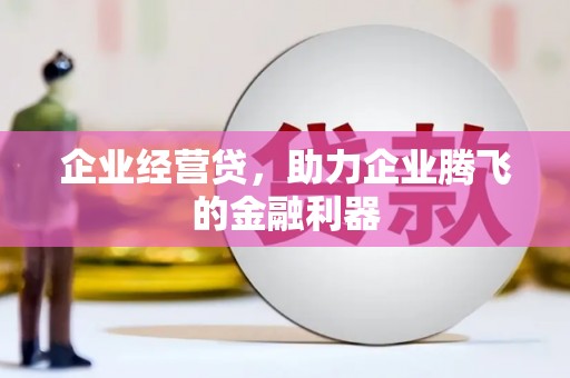 迭部企业经营贷，助力企业腾飞的金融利器