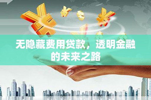 迭部无隐藏费用贷款，透明金融的未来之路