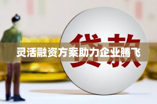 迭部灵活融资方案助力企业腾飞
