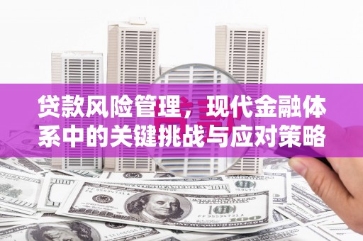 迭部贷款风险管理，现代金融体系中的关键挑战与应对策略