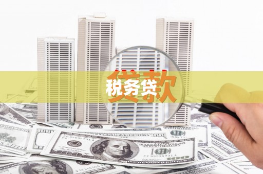 迭部税务贷
