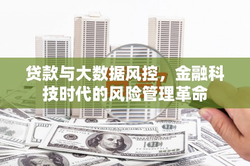 迭部贷款与大数据风控，金融科技时代的风险管理革命