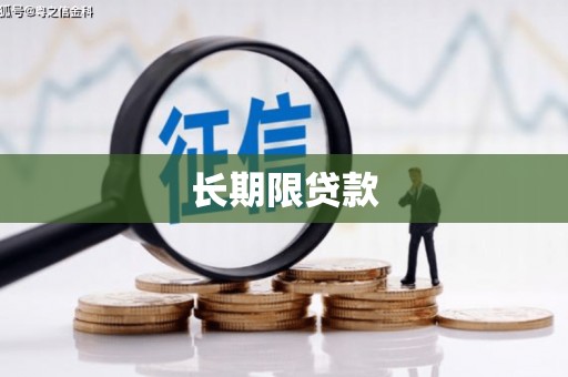迭部长期限贷款