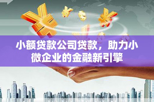 迭部小额贷款公司贷款，助力小微企业的金融新引擎