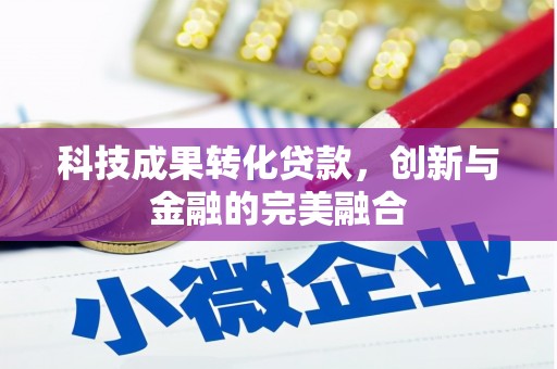 迭部科技成果转化贷款，创新与金融的完美融合