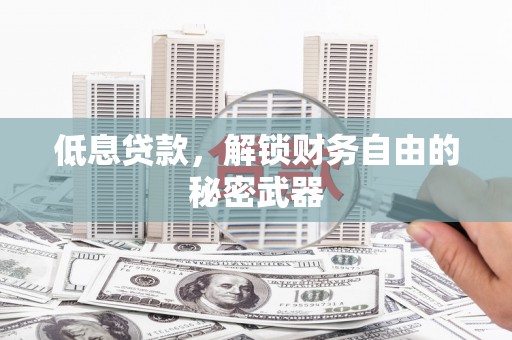 迭部低息贷款，解锁财务自由的秘密武器
