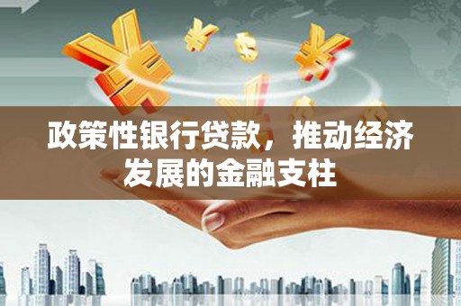 迭部政策性银行贷款，推动经济发展的金融支柱