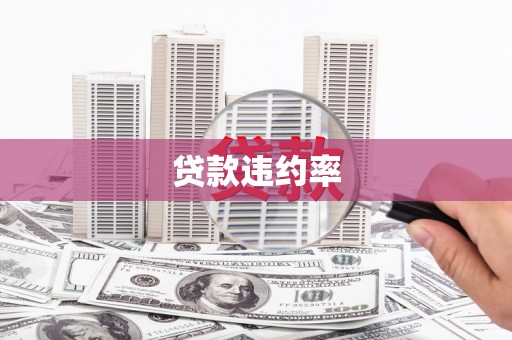 迭部贷款违约率