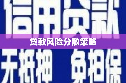 迭部贷款风险分散策略