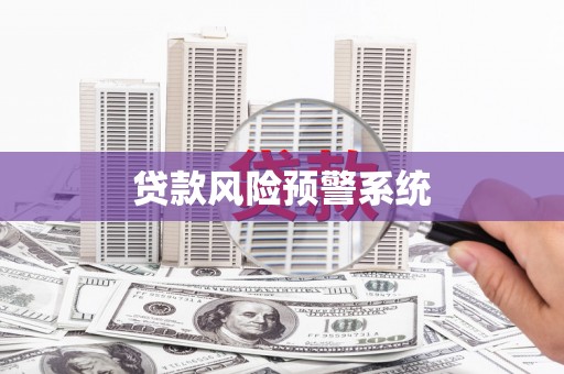 迭部贷款风险预警系统