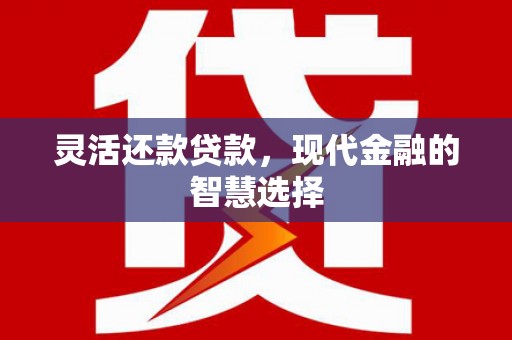 迭部灵活还款贷款，现代金融的智慧选择