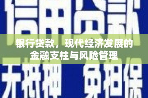 迭部银行贷款，现代经济发展的金融支柱与风险管理