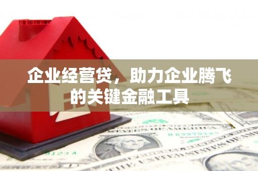 迭部企业经营贷，助力企业腾飞的关键金融工具