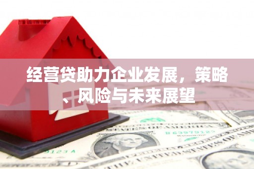 迭部经营贷助力企业发展，策略、风险与未来展望