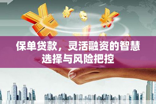 迭部保单贷款，灵活融资的智慧选择与风险把控