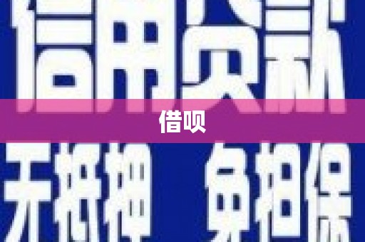 迭部借呗