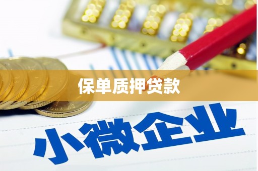 迭部保单质押贷款