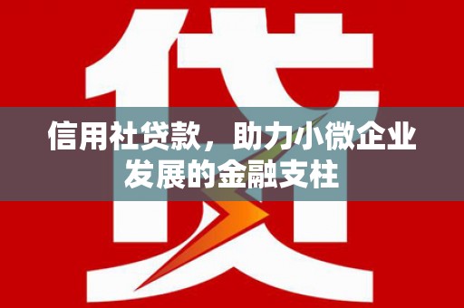 迭部信用社贷款，助力小微企业发展的金融支柱