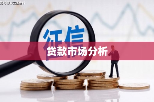 迭部贷款市场分析