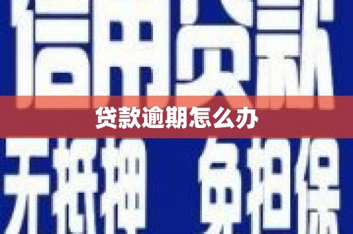 迭部贷款逾期怎么办