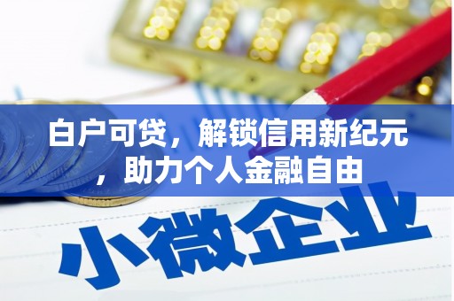 迭部白户可贷，解锁信用新纪元，助力个人金融自由