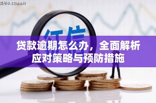 迭部贷款逾期怎么办，全面解析应对策略与预防措施