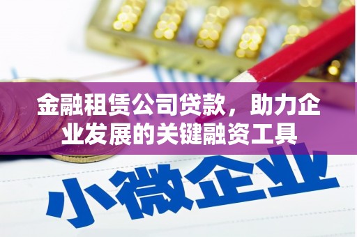 迭部金融租赁公司贷款，助力企业发展的关键融资工具