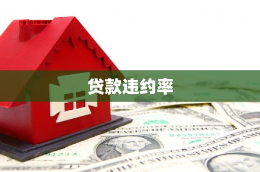 迭部贷款违约率
