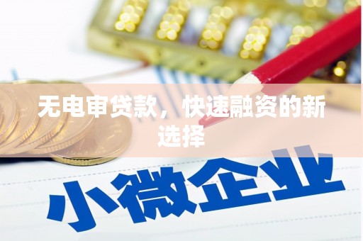 迭部无电审贷款，快速融资的新选择