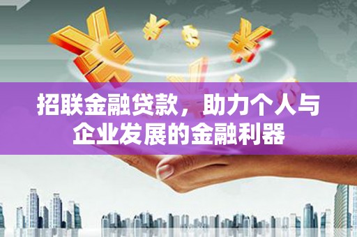 迭部招联金融贷款，助力个人与企业发展的金融利器