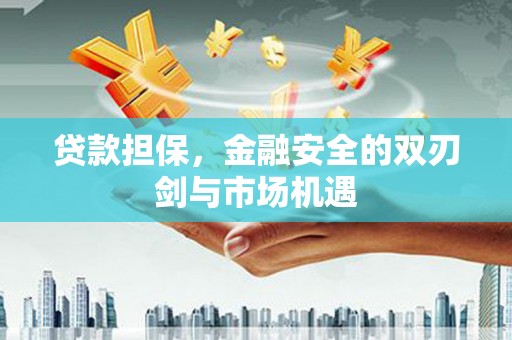 迭部贷款担保，金融安全的双刃剑与市场机遇