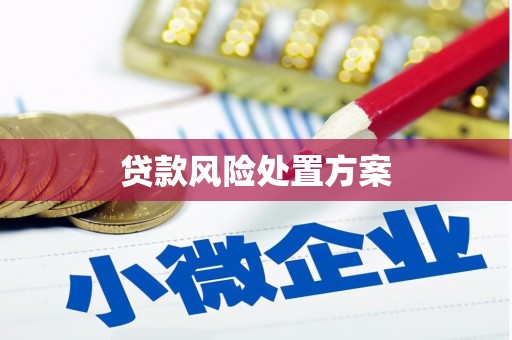 迭部贷款风险处置方案