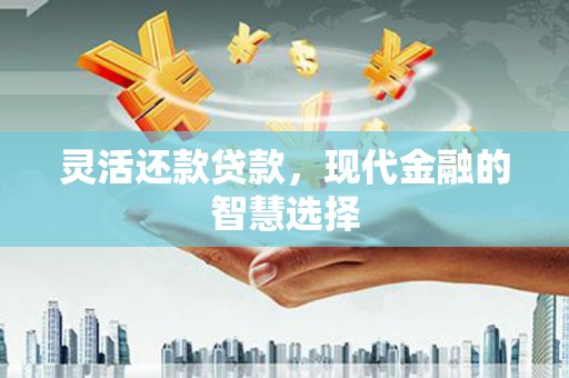 迭部灵活还款贷款，现代金融的智慧选择