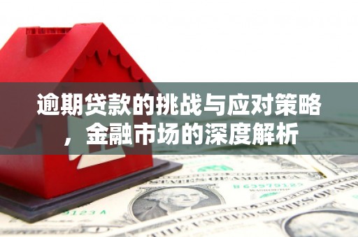 迭部逾期贷款的挑战与应对策略，金融市场的深度解析