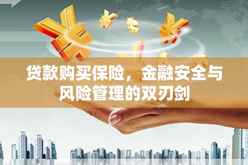迭部贷款购买保险，金融安全与风险管理的双刃剑