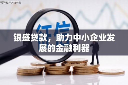 迭部银盛贷款，助力中小企业发展的金融利器
