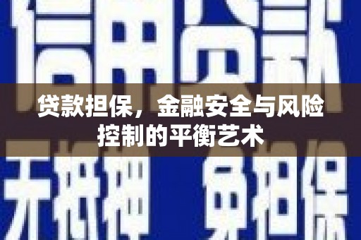 迭部贷款担保，金融安全与风险控制的平衡艺术