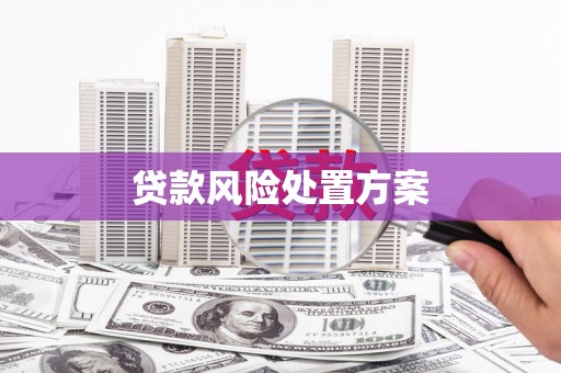 迭部贷款风险处置方案