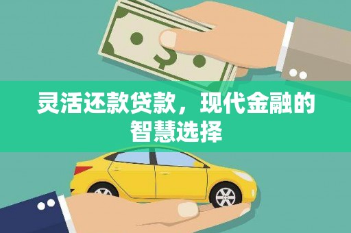 迭部灵活还款贷款，现代金融的智慧选择