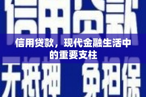 迭部信用贷款，现代金融生活中的重要支柱