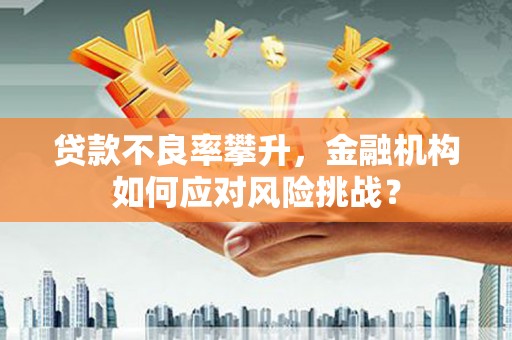 迭部贷款不良率攀升，金融机构如何应对风险挑战？